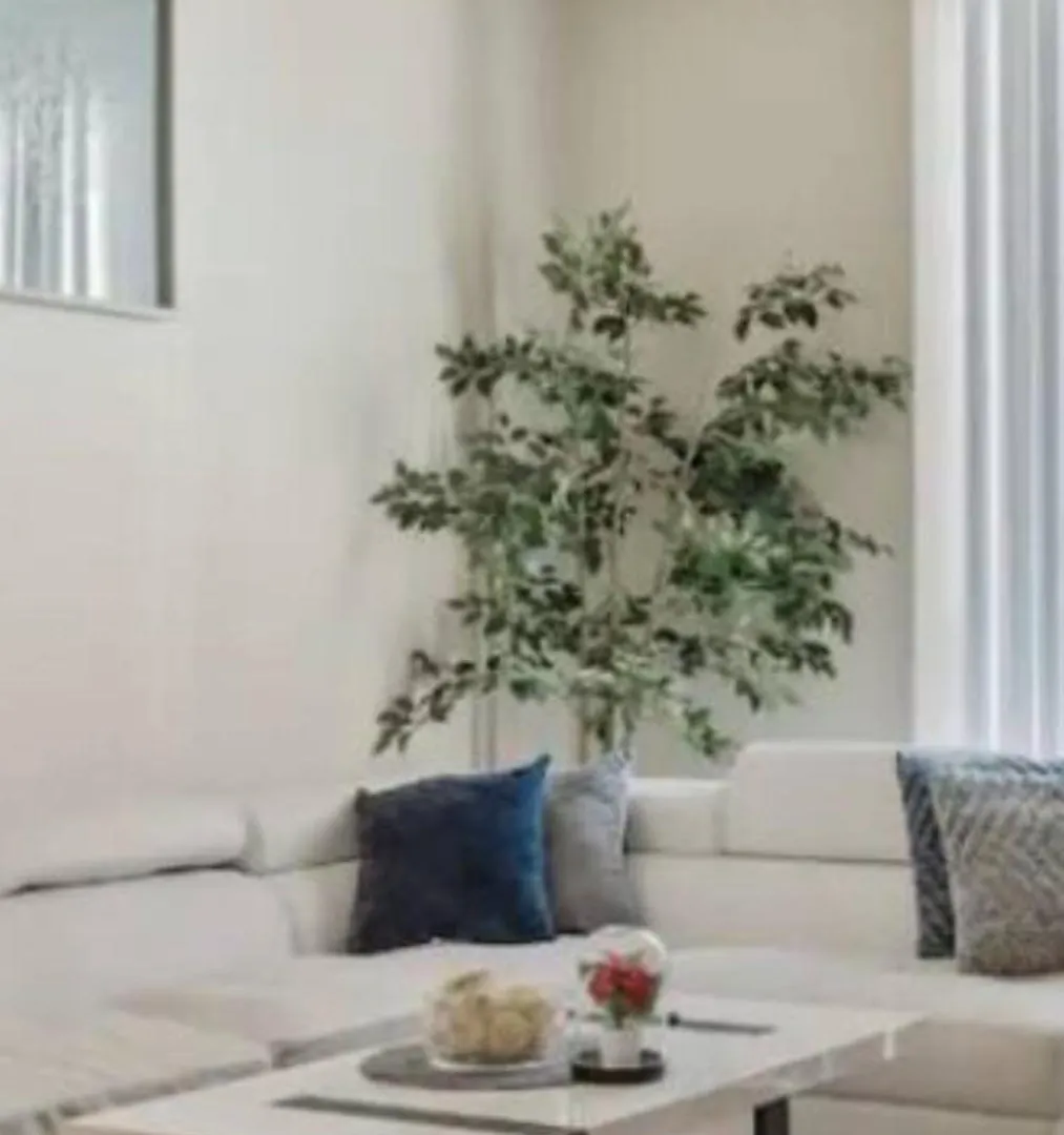 Hotel The Reve Appartment Marina 2 Bedrooms With Swimming Pool Free Parking Los Angeles United States